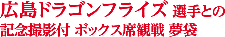 広島ドラゴンフライズ 選手との記念撮影付 ボックス席観戦 夢袋