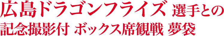 広島ドラゴンフライズ 選手との記念撮影付 ボックス席観戦 夢袋